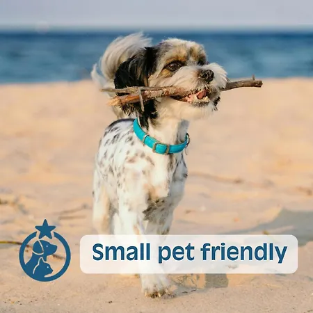 Sunbeach Lignano Sabbiadoro